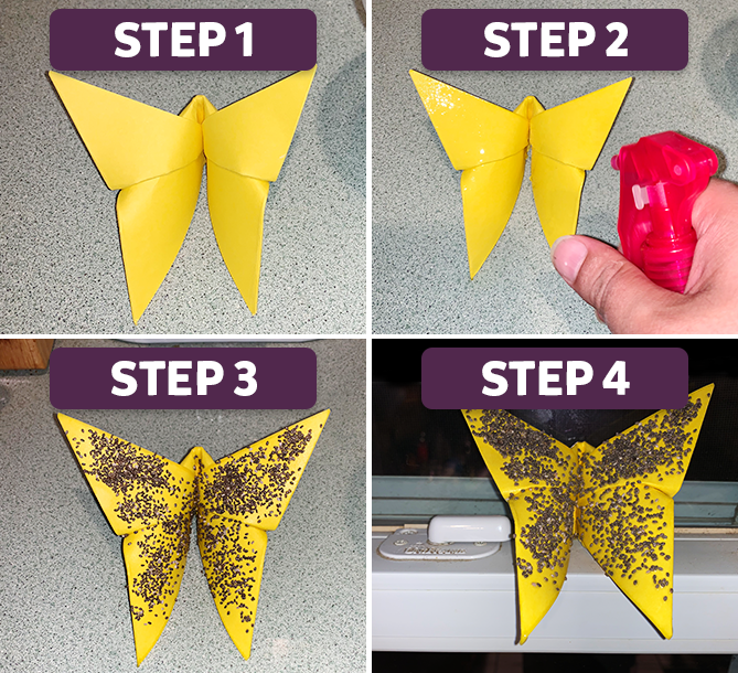 How To Make an Easy Origami Butterfly (in 3 MINUTES!) 