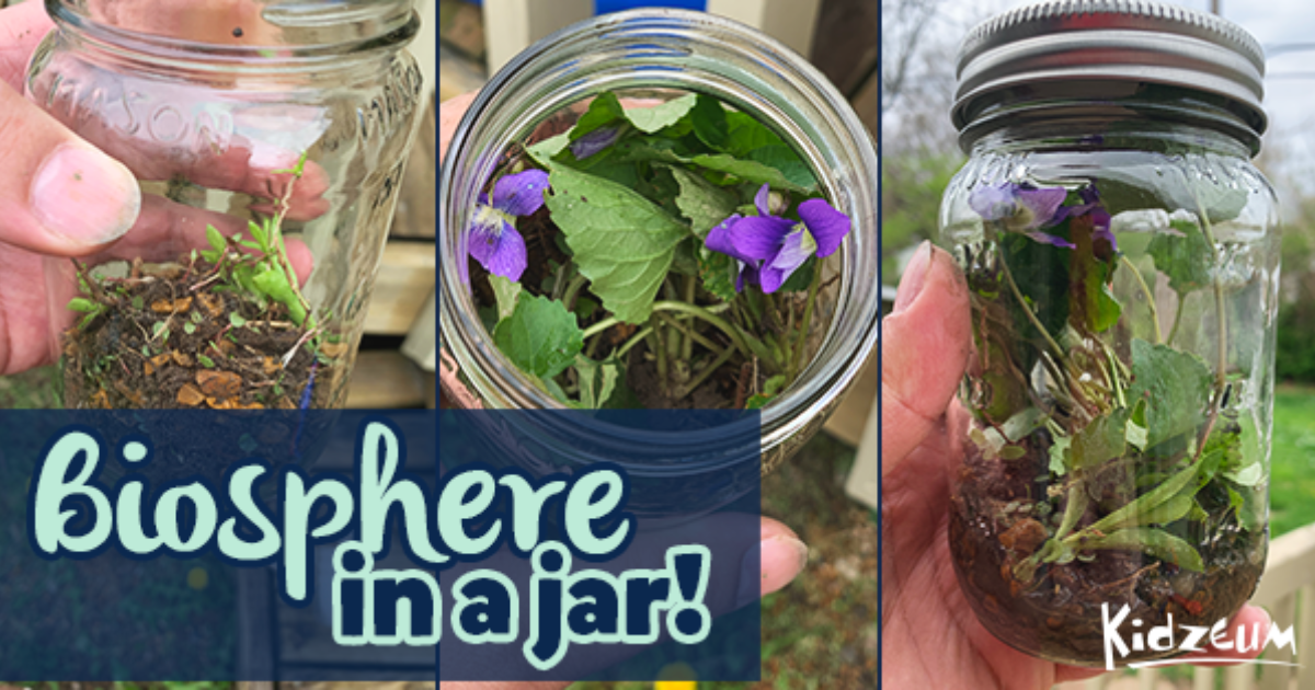 Educational DIY Recycled Jar Ecosphere